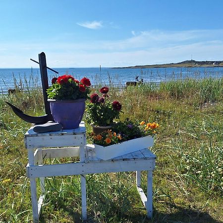 Feriehus Ved Barentshavet - Holiday Home By The Barents Sea Ytre Kiberg Exterior foto